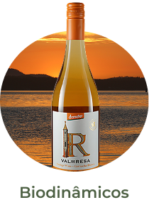 Elaborados com práticas agrícolas que seguem os ciclos da natureza e do calendário lunar, esses vinhos vão além do orgânico. Com foco no equilíbrio entre solo, planta e ambiente, resultam em rótulos vivos e autênticos.