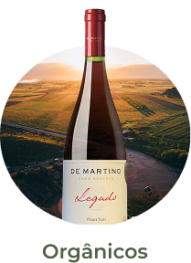 Produzidos com uvas cultivadas sem agrotóxicos ou aditivos químicos, os vinhos orgânicos respeitam a natureza e expressam o sabor mais puro do terroir. Uma escolha mais saudável, sem abrir mão da qualidade.